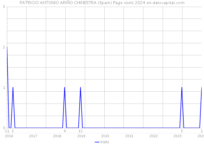 PATRICIO ANTONIO ARIÑO CHINESTRA (Spain) Page visits 2024 