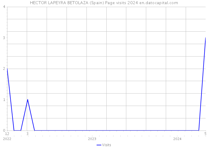 HECTOR LAPEYRA BETOLAZA (Spain) Page visits 2024 