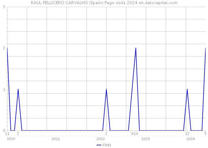 RAUL PELLICERO CARVALHO (Spain) Page visits 2024 