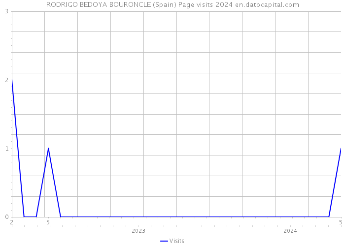 RODRIGO BEDOYA BOURONCLE (Spain) Page visits 2024 