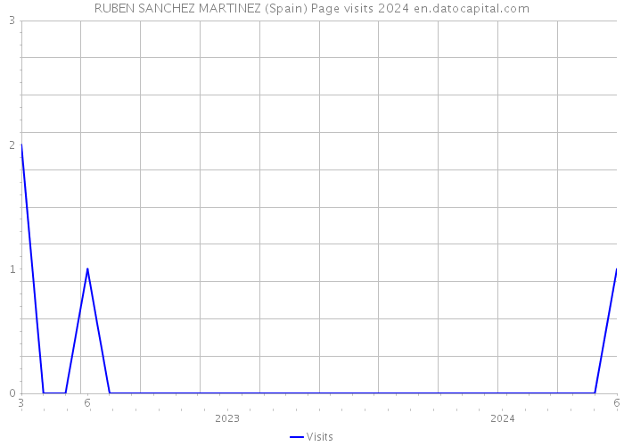 RUBEN SANCHEZ MARTINEZ (Spain) Page visits 2024 