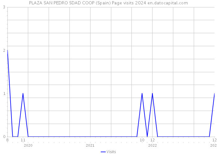 PLAZA SAN PEDRO SDAD COOP (Spain) Page visits 2024 