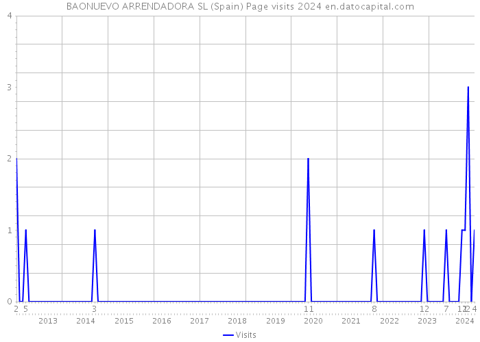 BAONUEVO ARRENDADORA SL (Spain) Page visits 2024 