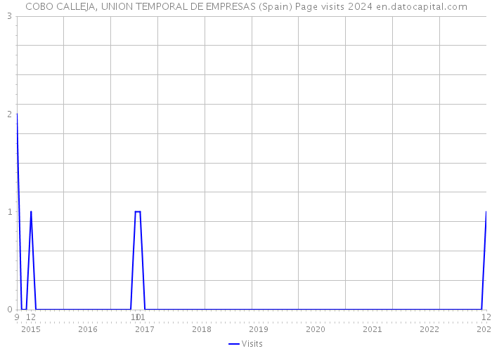 COBO CALLEJA, UNION TEMPORAL DE EMPRESAS (Spain) Page visits 2024 