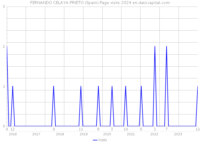 FERNANDO CELAYA PRIETO (Spain) Page visits 2024 