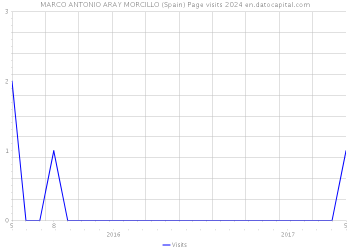 MARCO ANTONIO ARAY MORCILLO (Spain) Page visits 2024 