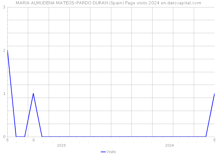 MARIA ALMUDENA MATEOS-PARDO DURAN (Spain) Page visits 2024 