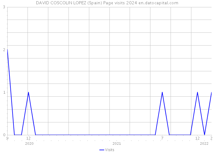 DAVID COSCOLIN LOPEZ (Spain) Page visits 2024 