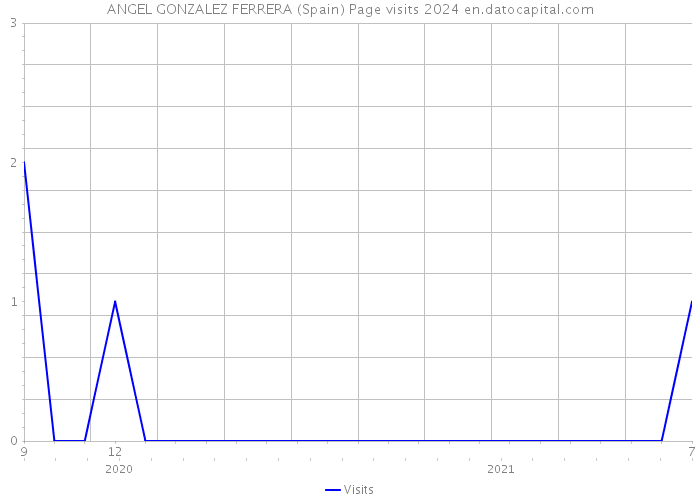ANGEL GONZALEZ FERRERA (Spain) Page visits 2024 