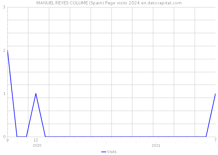 MANUEL REYES COLUME (Spain) Page visits 2024 