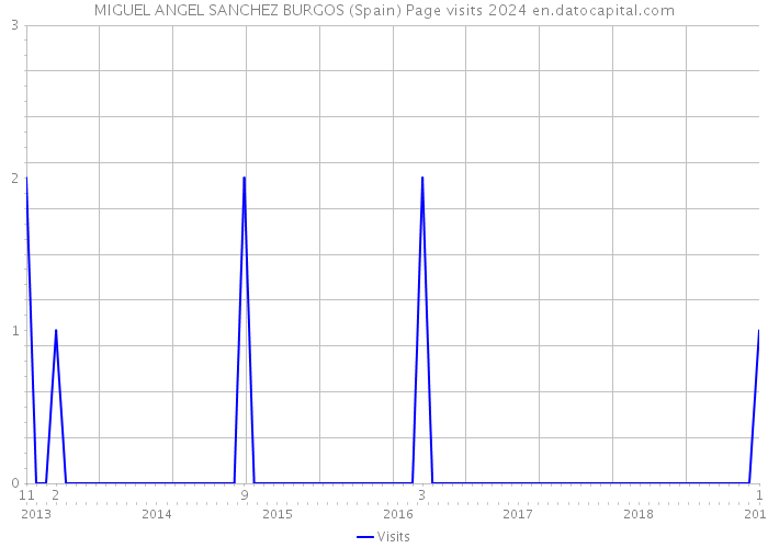 MIGUEL ANGEL SANCHEZ BURGOS (Spain) Page visits 2024 