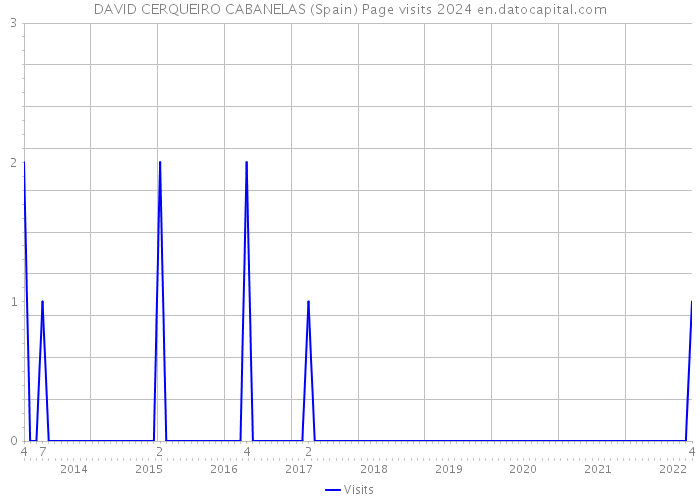 DAVID CERQUEIRO CABANELAS (Spain) Page visits 2024 