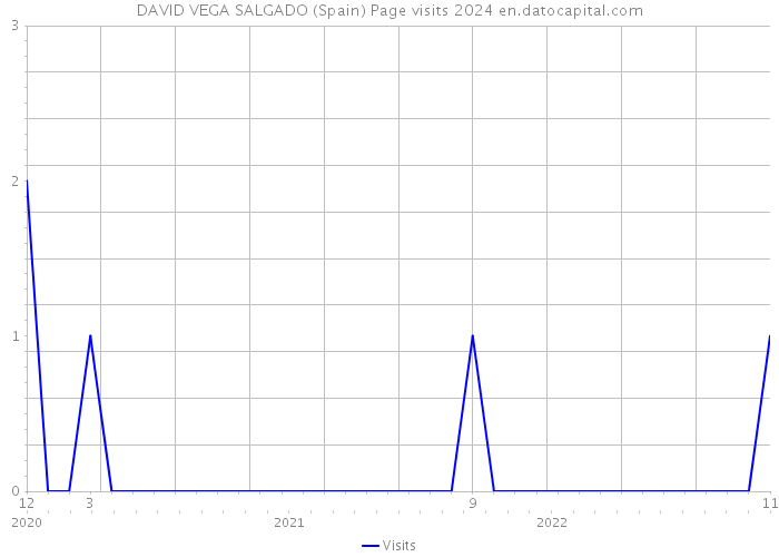 DAVID VEGA SALGADO (Spain) Page visits 2024 