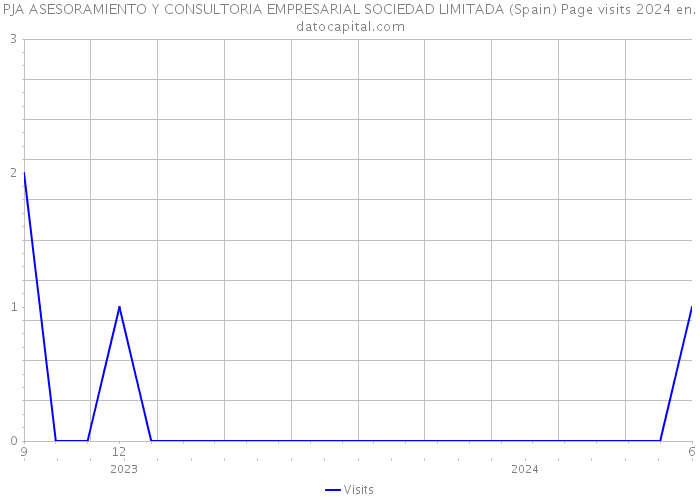 PJA ASESORAMIENTO Y CONSULTORIA EMPRESARIAL SOCIEDAD LIMITADA (Spain) Page visits 2024 
