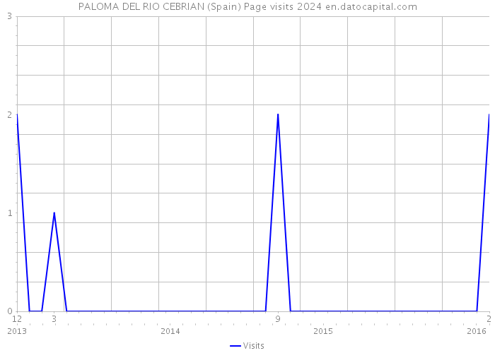PALOMA DEL RIO CEBRIAN (Spain) Page visits 2024 