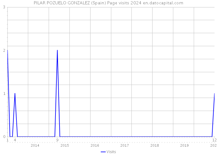 PILAR POZUELO GONZALEZ (Spain) Page visits 2024 