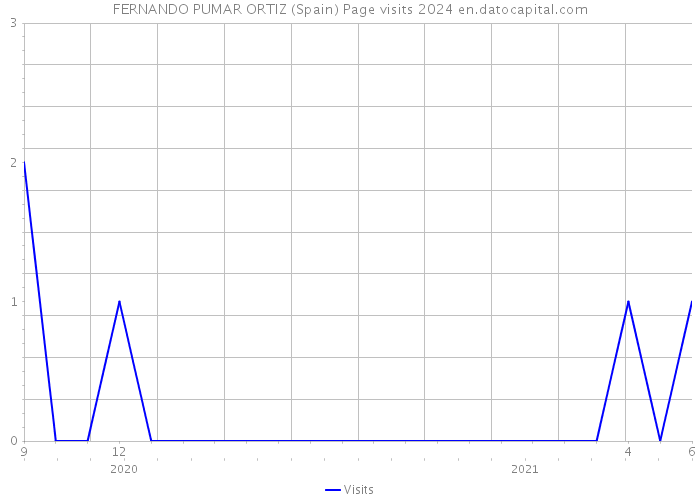 FERNANDO PUMAR ORTIZ (Spain) Page visits 2024 