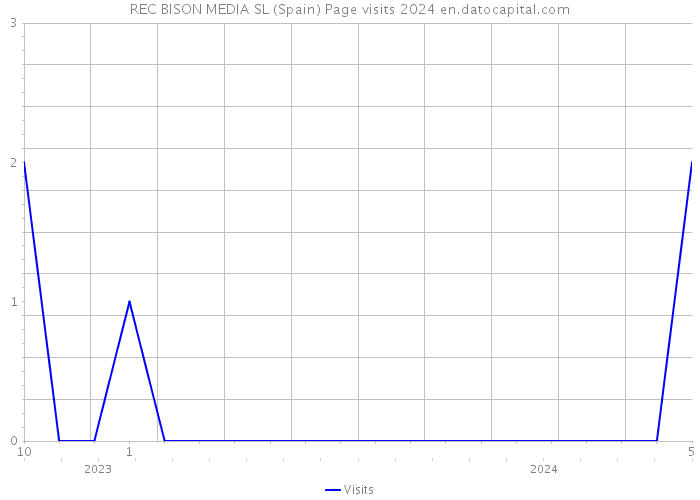 REC BISON MEDIA SL (Spain) Page visits 2024 
