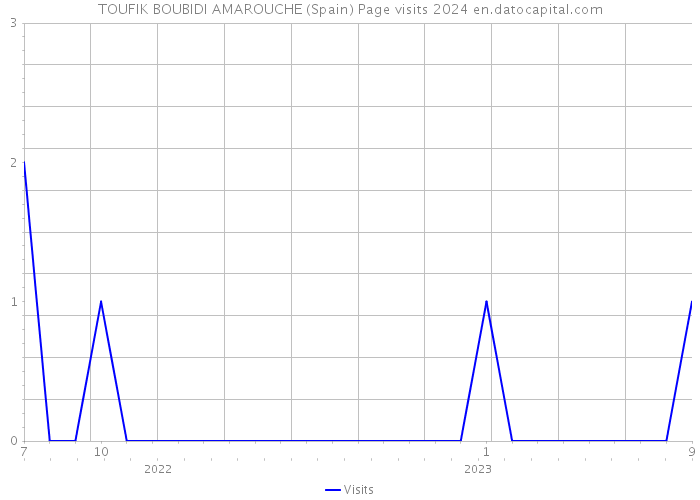 TOUFIK BOUBIDI AMAROUCHE (Spain) Page visits 2024 