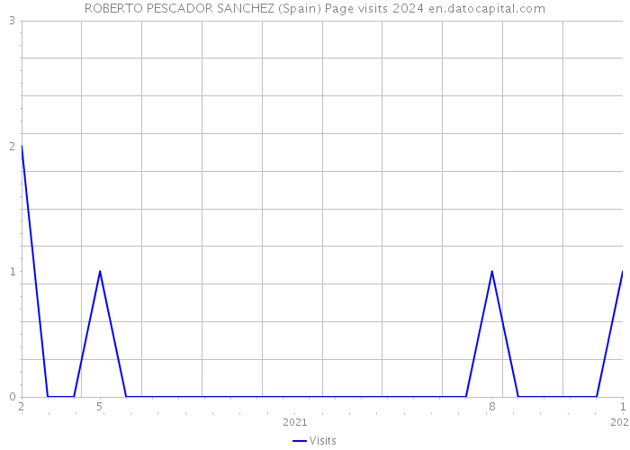 ROBERTO PESCADOR SANCHEZ (Spain) Page visits 2024 