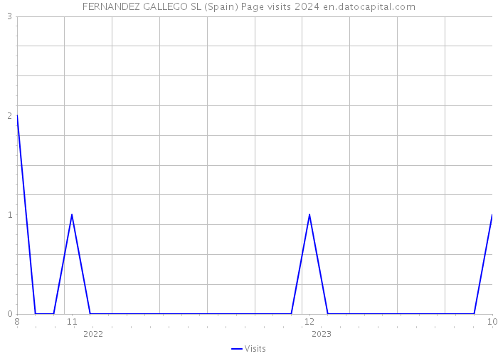 FERNANDEZ GALLEGO SL (Spain) Page visits 2024 