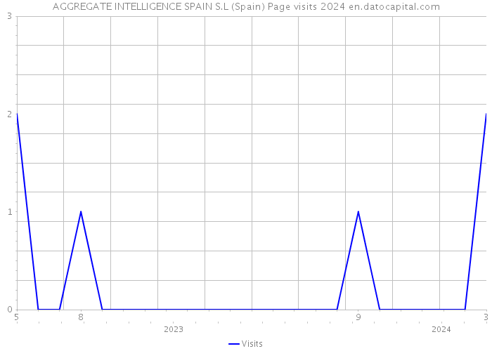 AGGREGATE INTELLIGENCE SPAIN S.L (Spain) Page visits 2024 