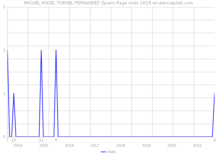 MIGUEL ANGEL TORNEL FERNANDEZ (Spain) Page visits 2024 