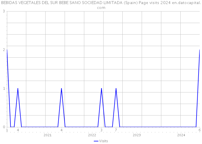 BEBIDAS VEGETALES DEL SUR BEBE SANO SOCIEDAD LIMITADA (Spain) Page visits 2024 