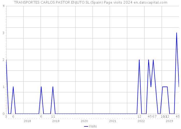 TRANSPORTES CARLOS PASTOR ENJUTO SL (Spain) Page visits 2024 