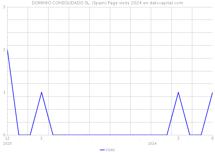 DOMINIO CONSOLIDADO SL. (Spain) Page visits 2024 