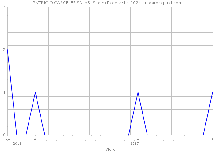 PATRICIO CARCELES SALAS (Spain) Page visits 2024 