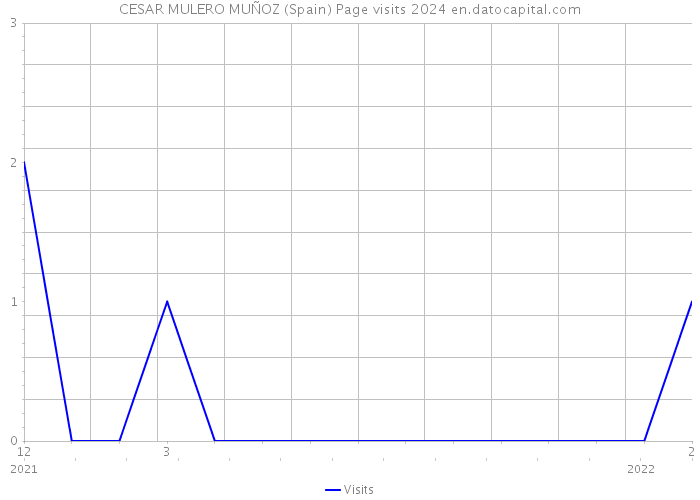 CESAR MULERO MUÑOZ (Spain) Page visits 2024 