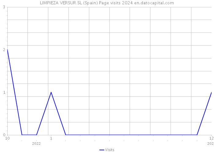 LIMPIEZA VERSUR SL (Spain) Page visits 2024 