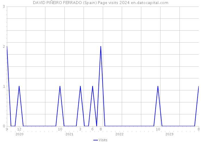 DAVID PIÑEIRO FERRADO (Spain) Page visits 2024 