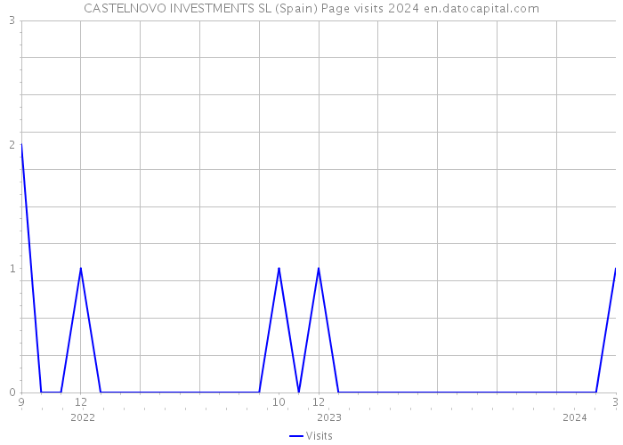 CASTELNOVO INVESTMENTS SL (Spain) Page visits 2024 