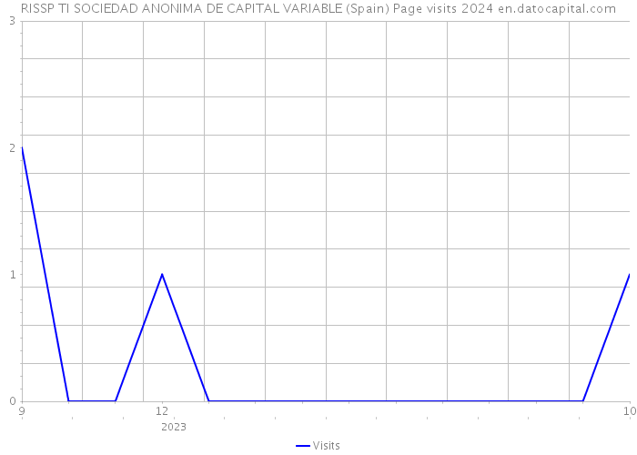 RISSP TI SOCIEDAD ANONIMA DE CAPITAL VARIABLE (Spain) Page visits 2024 