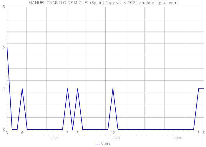 MANUEL CARRILLO DE MIGUEL (Spain) Page visits 2024 