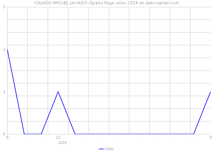 CALADO MIGUEL LAVADO (Spain) Page visits 2024 