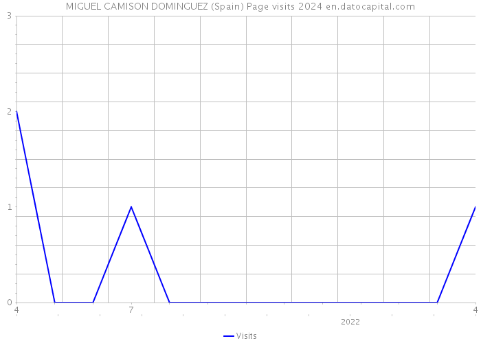 MIGUEL CAMISON DOMINGUEZ (Spain) Page visits 2024 