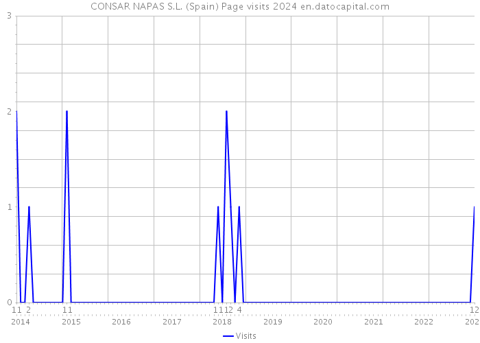 CONSAR NAPAS S.L. (Spain) Page visits 2024 