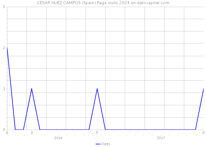 CESAR NUEZ CAMPOS (Spain) Page visits 2024 
