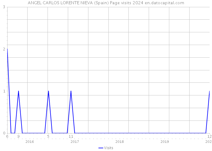 ANGEL CARLOS LORENTE NIEVA (Spain) Page visits 2024 