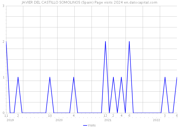 JAVIER DEL CASTILLO SOMOLINOS (Spain) Page visits 2024 