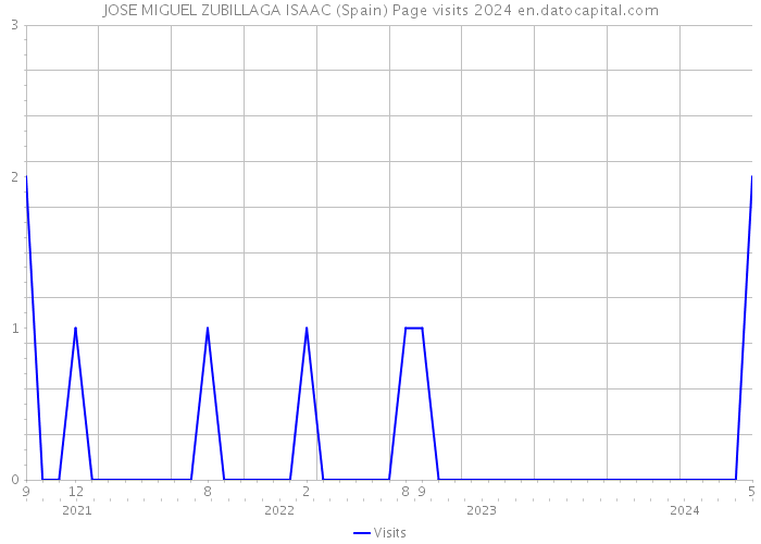 JOSE MIGUEL ZUBILLAGA ISAAC (Spain) Page visits 2024 