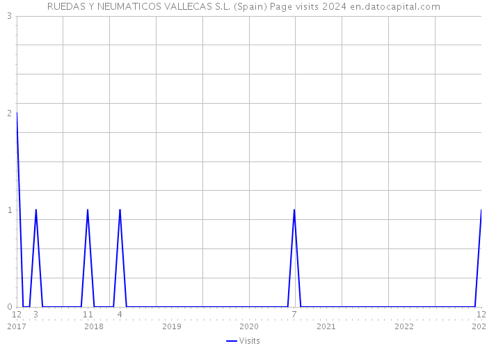 RUEDAS Y NEUMATICOS VALLECAS S.L. (Spain) Page visits 2024 
