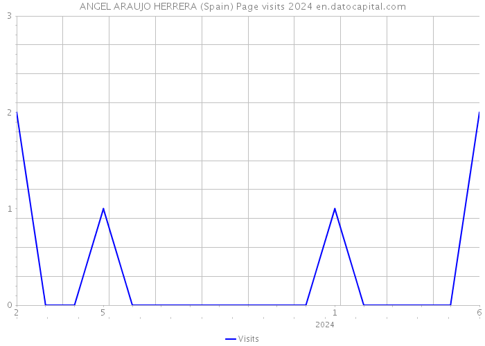 ANGEL ARAUJO HERRERA (Spain) Page visits 2024 