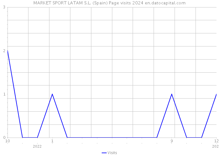 MARKET SPORT LATAM S.L. (Spain) Page visits 2024 