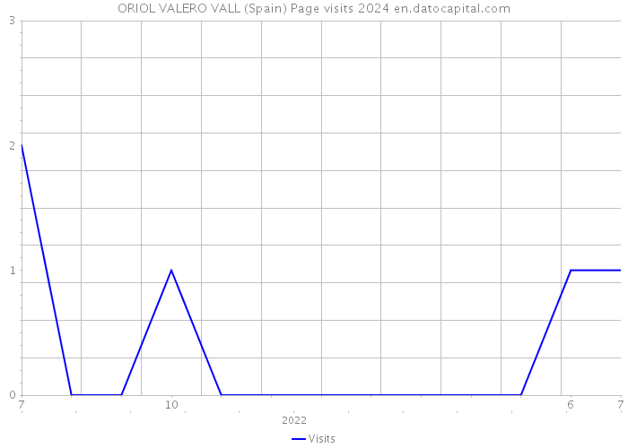 ORIOL VALERO VALL (Spain) Page visits 2024 