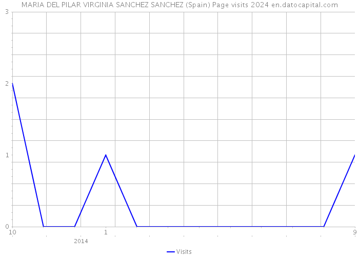 MARIA DEL PILAR VIRGINIA SANCHEZ SANCHEZ (Spain) Page visits 2024 