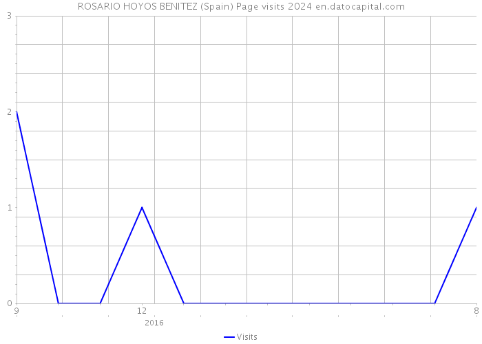 ROSARIO HOYOS BENITEZ (Spain) Page visits 2024 